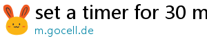 set a timer for 30 minutes